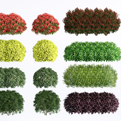  灌木丛 花镜su模型 