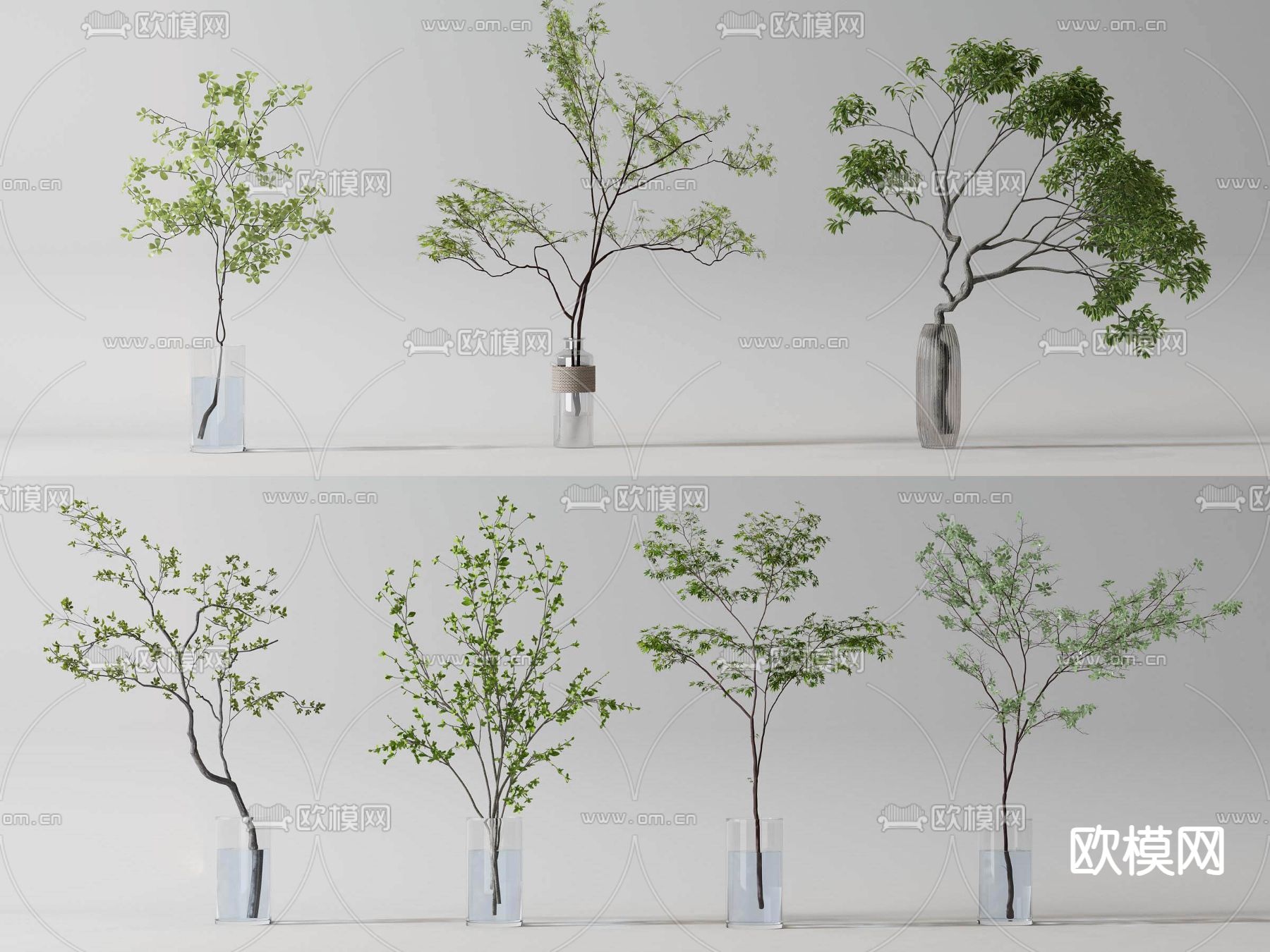 水生植物 水培绿植3d模型下载