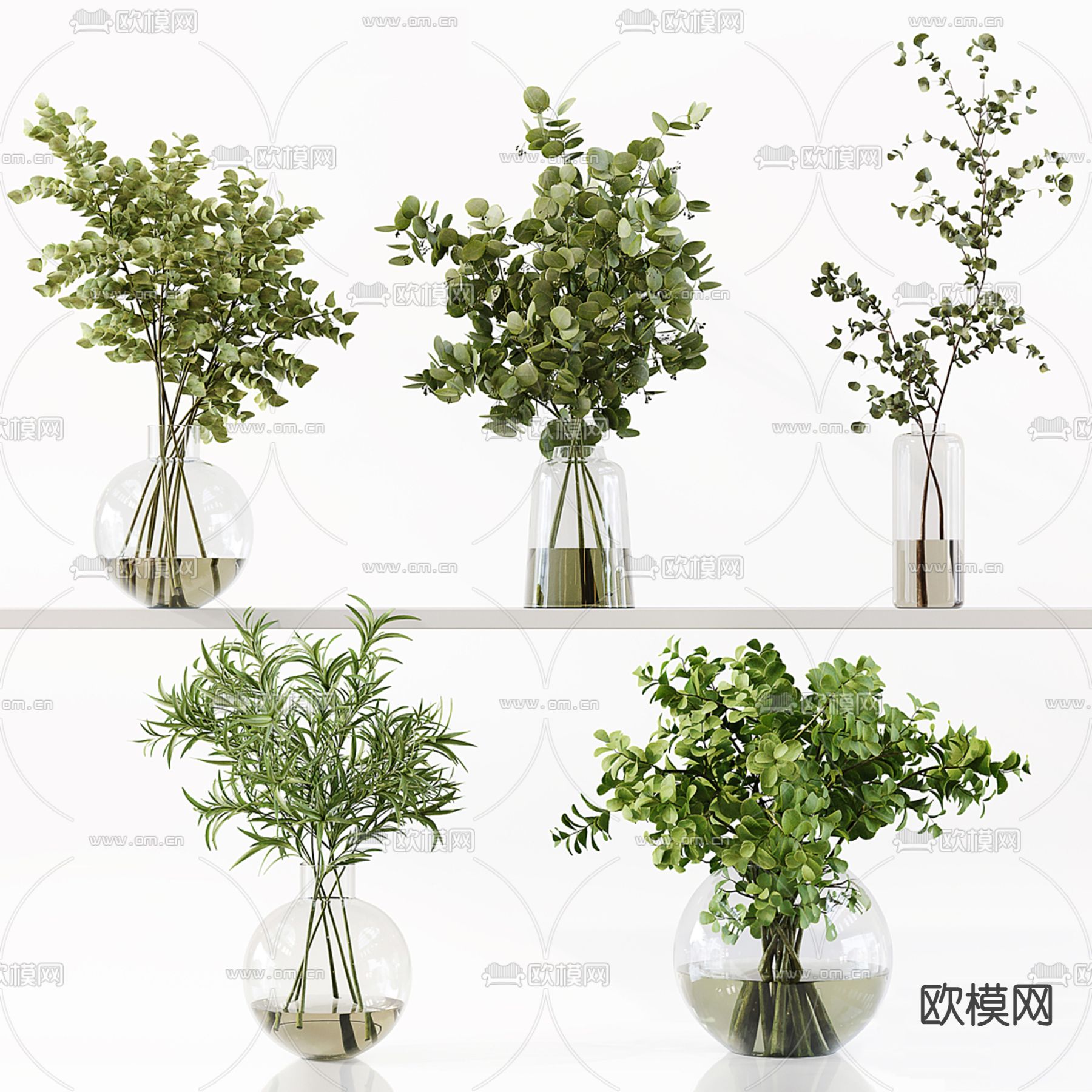 水生植物 水培绿植3d模型下载