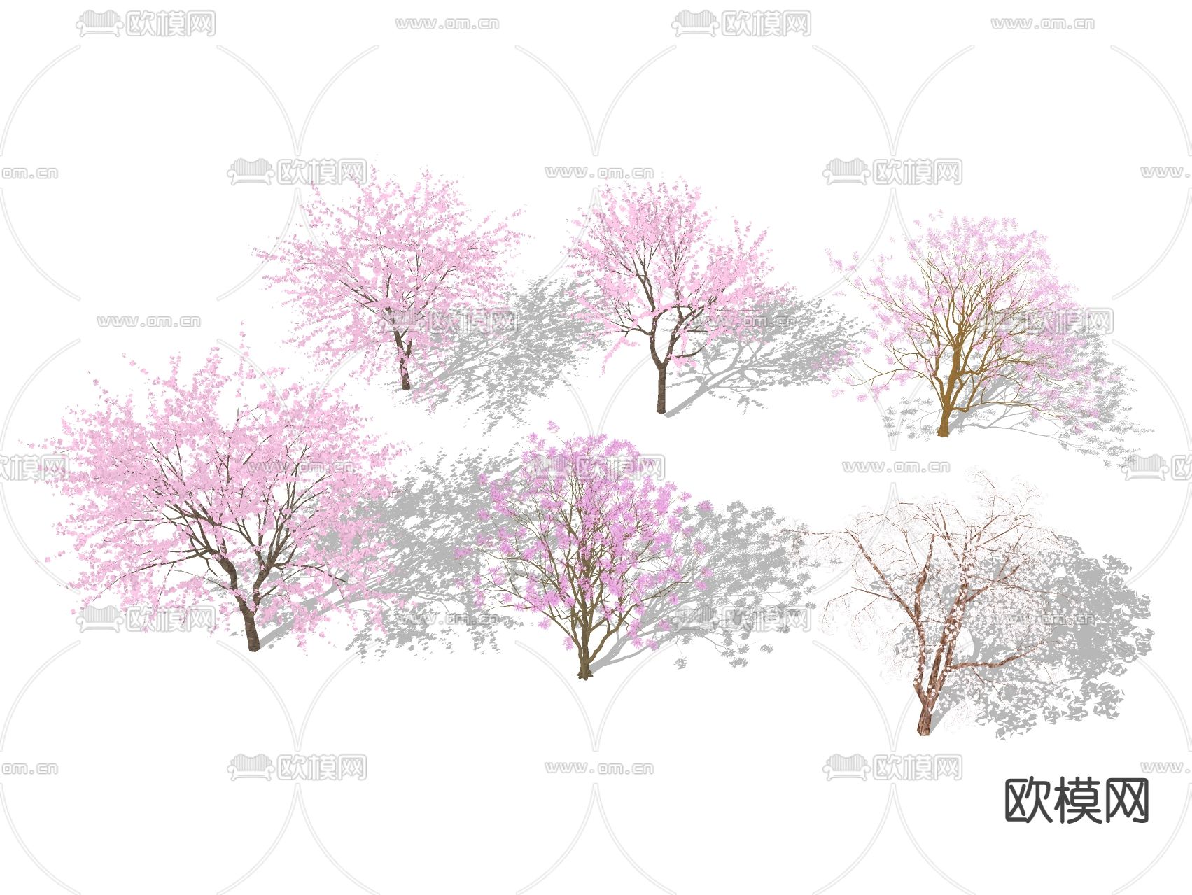景观树 桃树su模型下载
