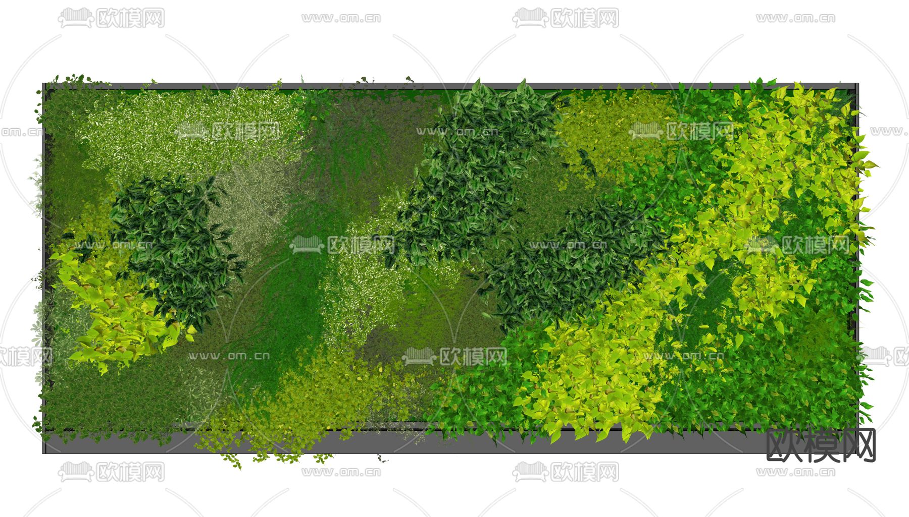 植物墙 绿植墙su模型下载（渲染图2）
