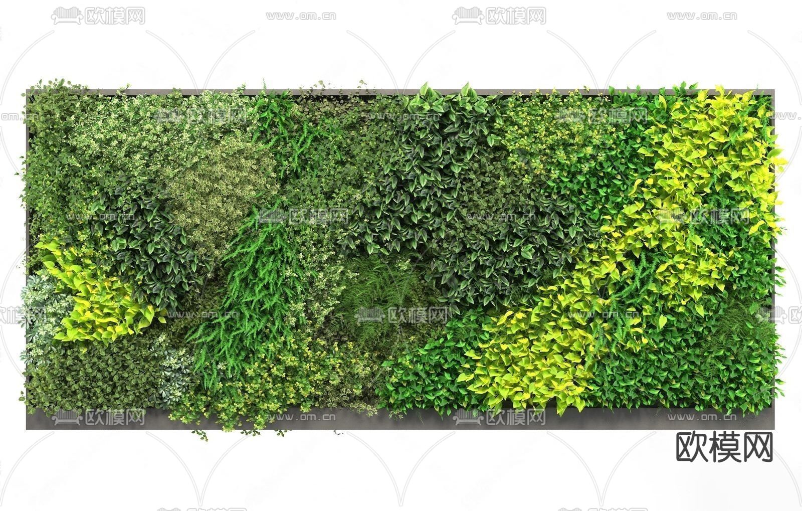 植物墙 绿植墙su模型下载（渲染图1）