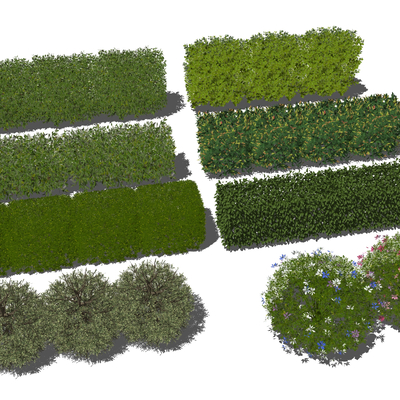  绿篱 灌木su模型 