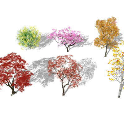  景观树 樱花树su模型 