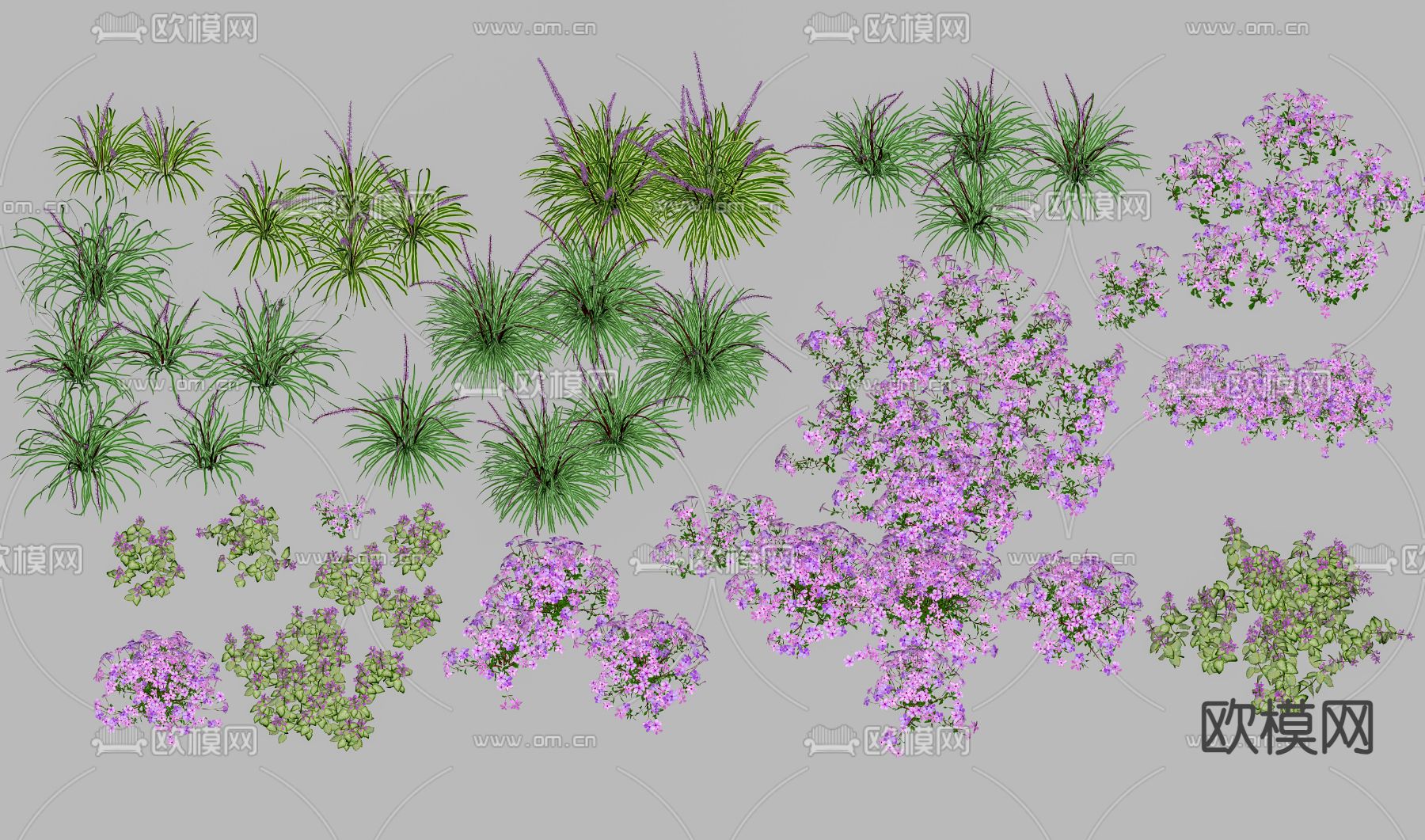 薰衣草 灌木su模型下载（渲染图2）
