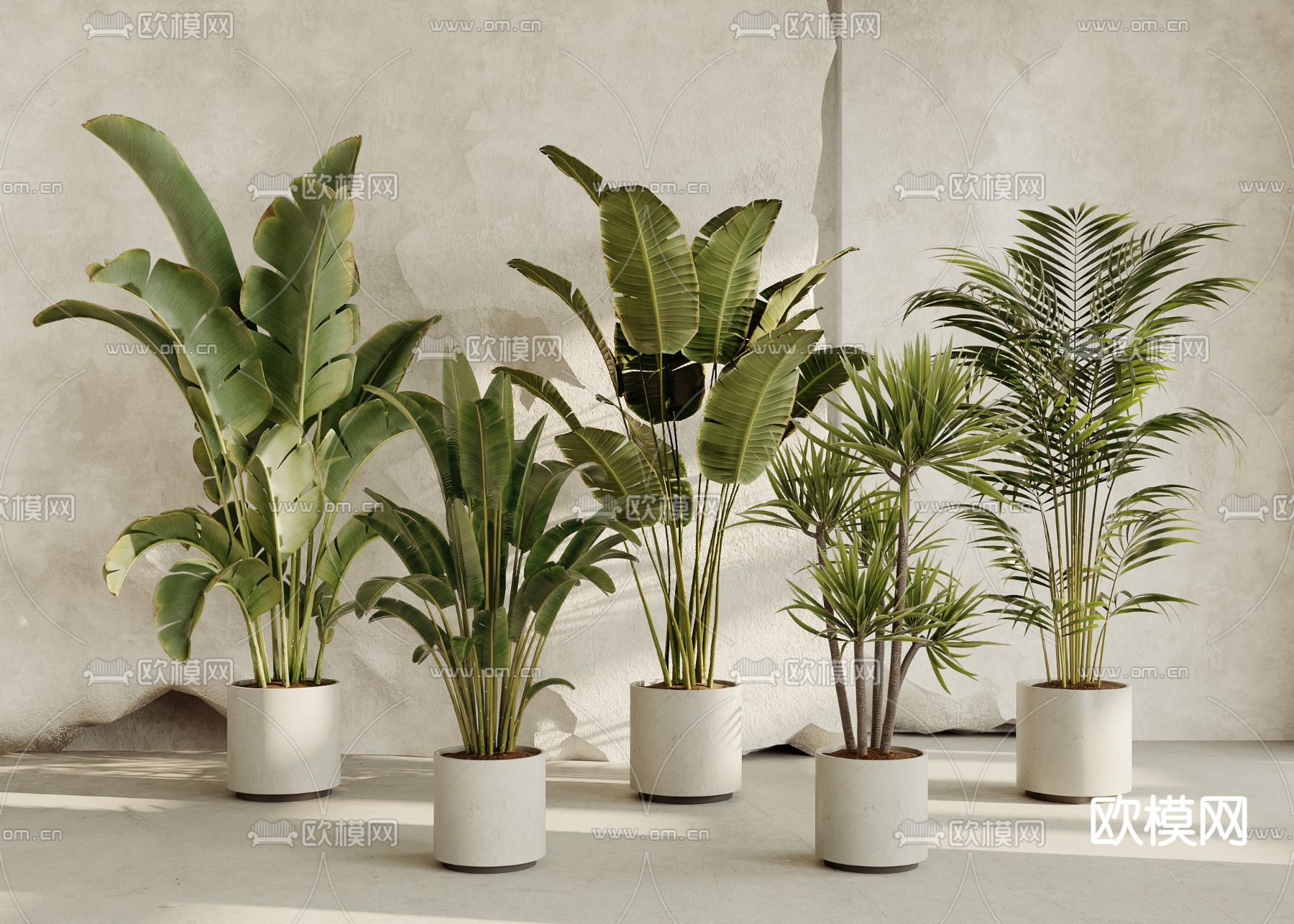 现代盆栽su模型下载（渲染图1）