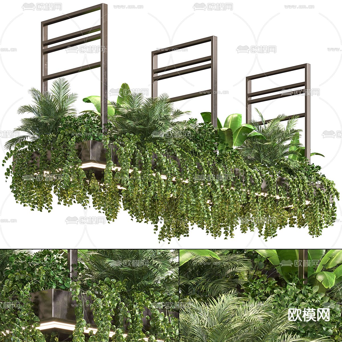 吊篮 吊兰 吊挂绿植3d模型下载（渲染图1）