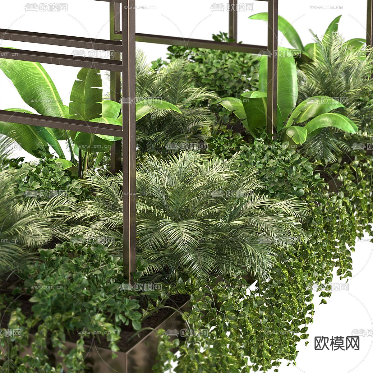 吊篮 吊兰 吊挂绿植3d模型下载（渲染图2）