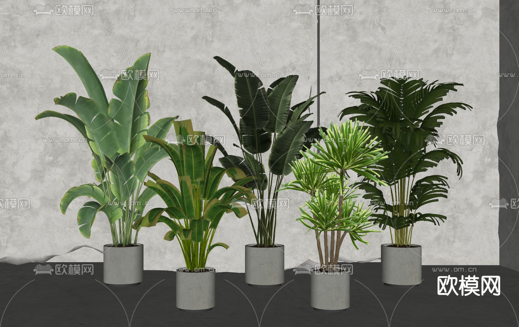 现代盆栽su模型下载（渲染图2）