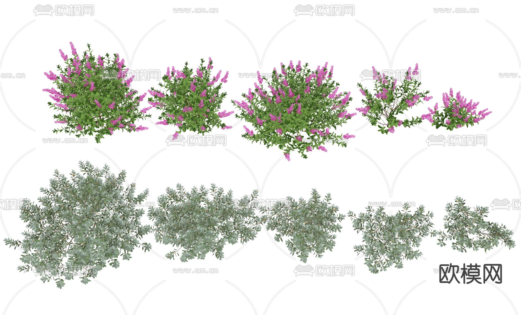 灌木su模型下载（渲染图2）