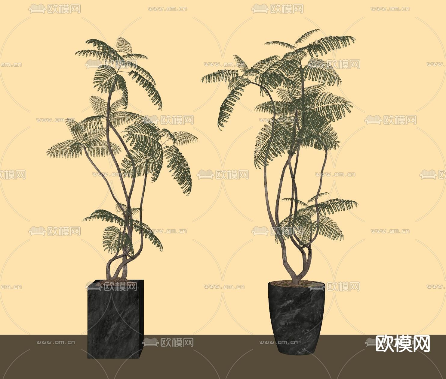 中古风绿植盆栽su模型下载（渲染图2）