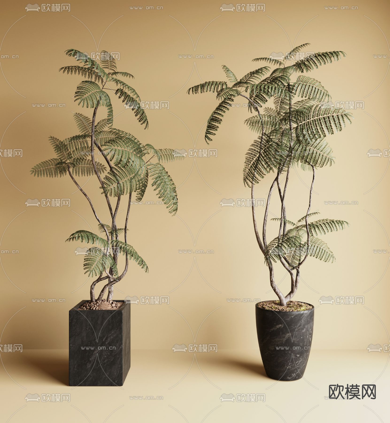 中古风绿植盆栽su模型下载（渲染图1）