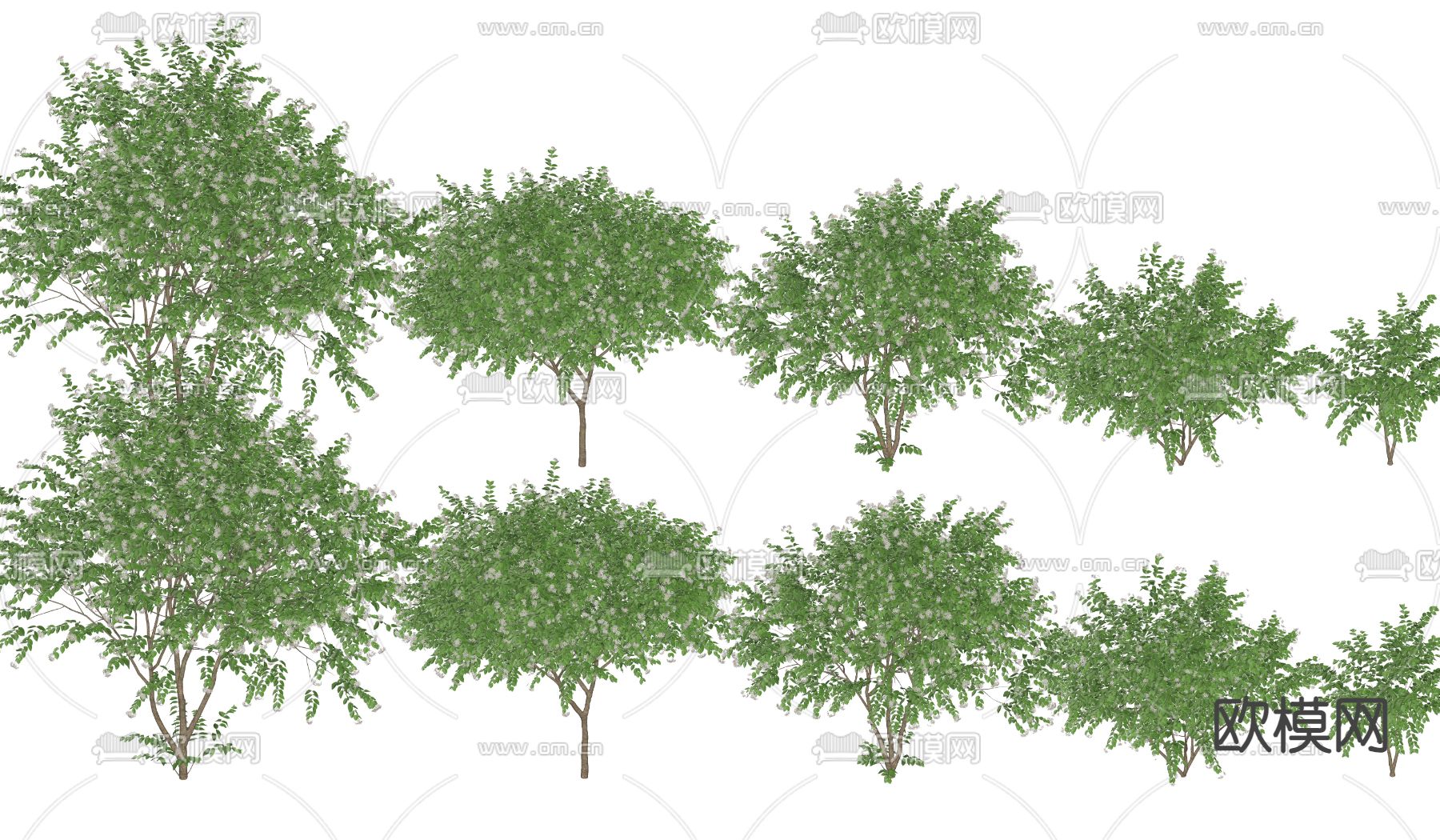 景观树su模型型下载（渲染图2）
