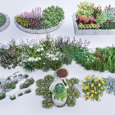  现代观赏草su模型 