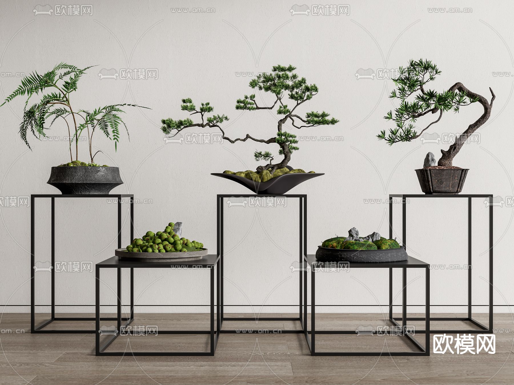 松树盆栽 盆景su模型下载（渲染图1）