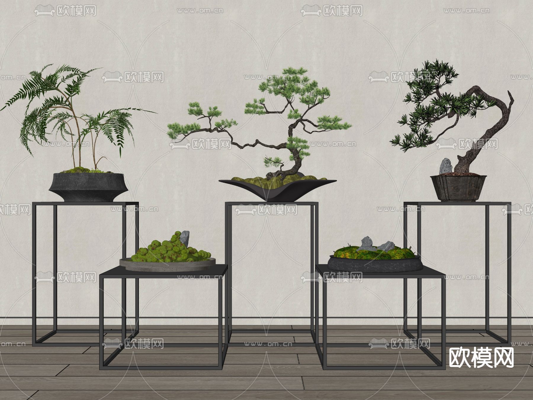 松树盆栽 盆景su模型下载（渲染图2）