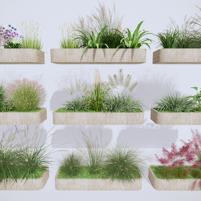  景观草 芦苇草 狗尾巴草su模型 