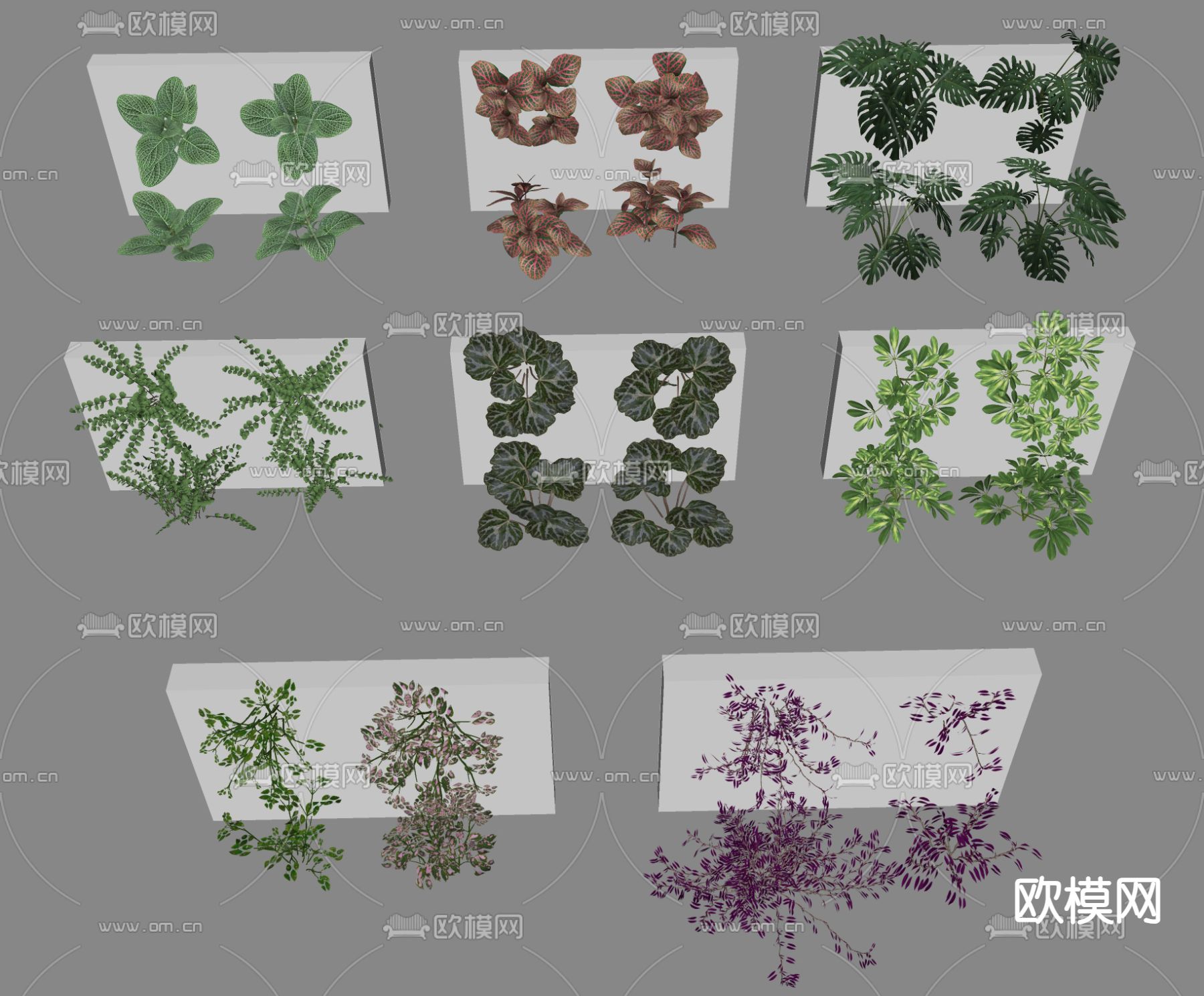 植物墙su模型下载（渲染图2）