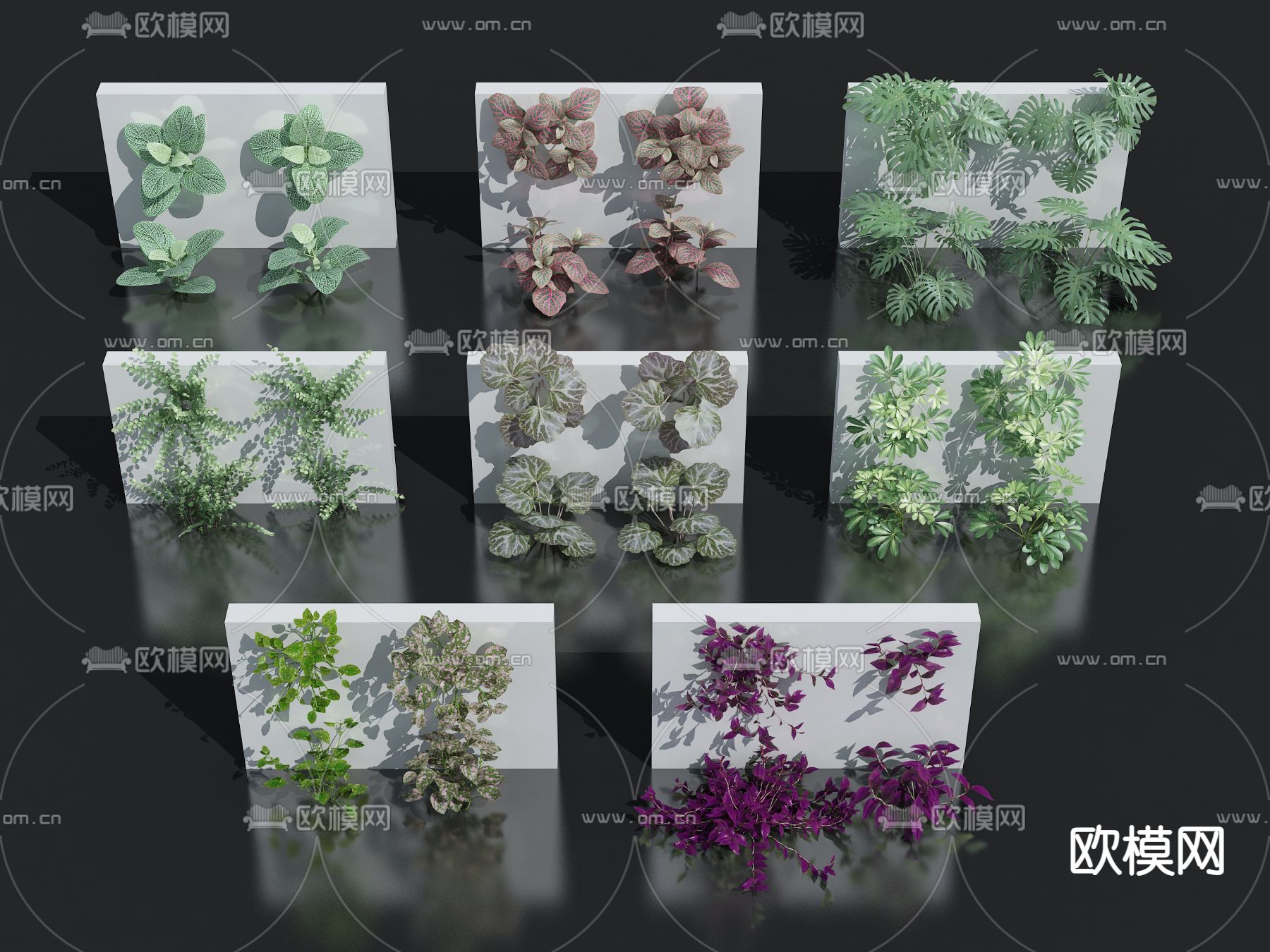 植物墙su模型下载（渲染图1）
