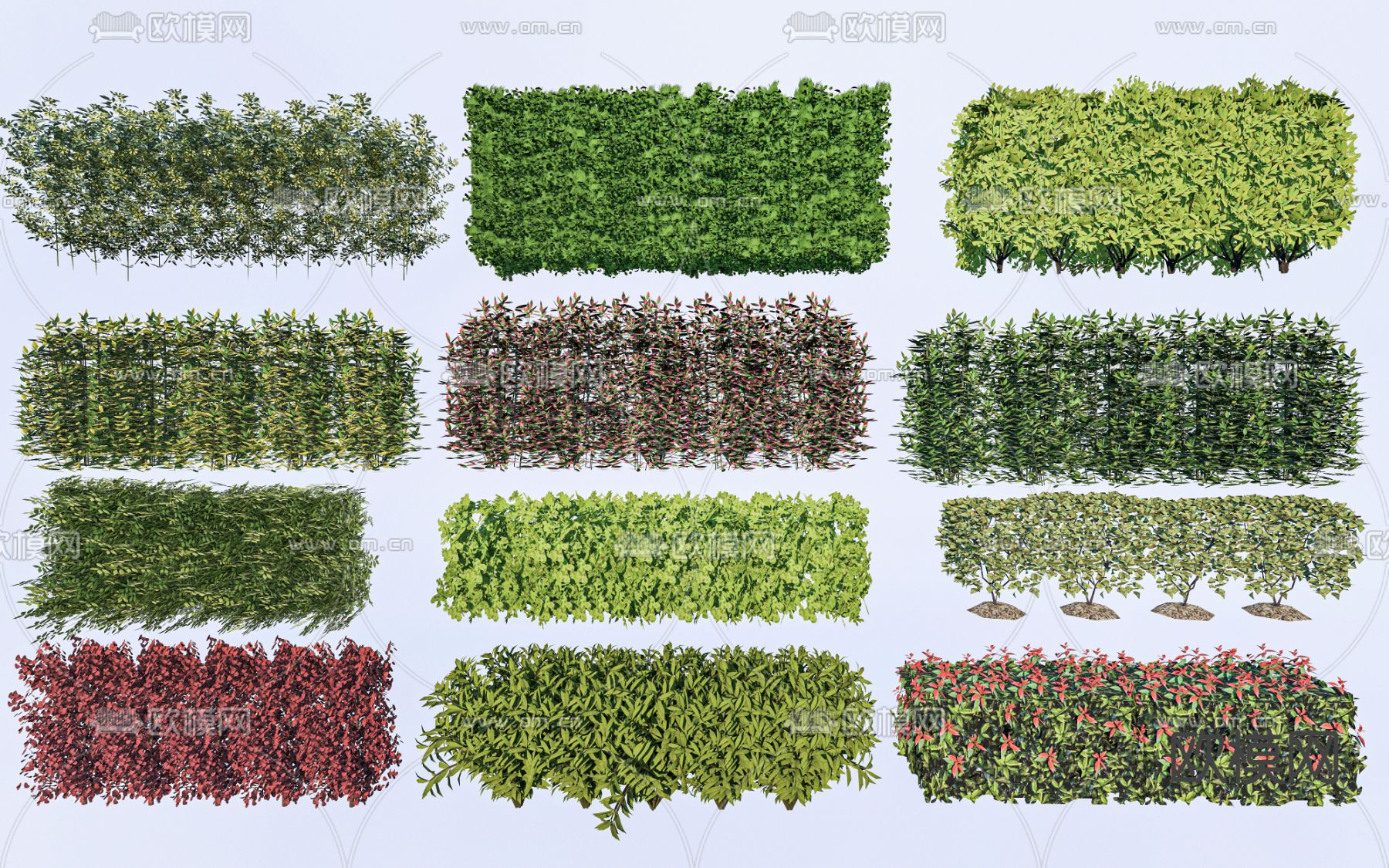 灌木丛 绿篱su模型下载（渲染图1）