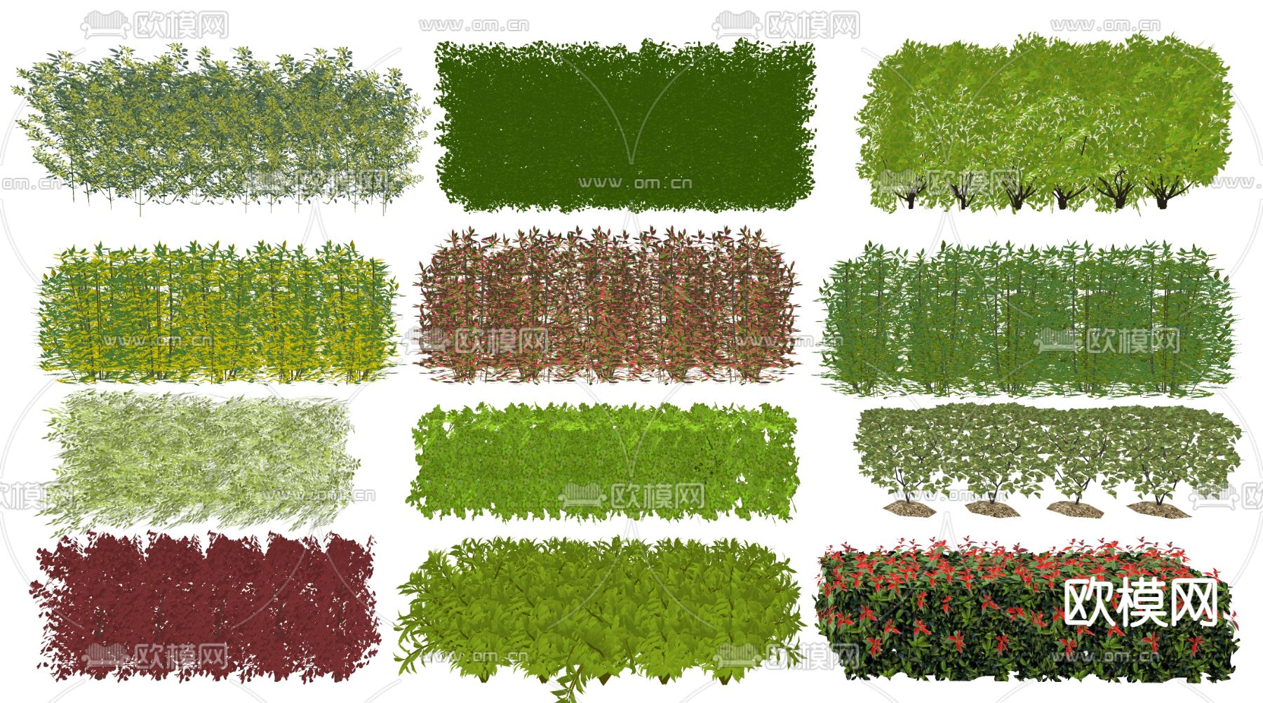 灌木丛 绿篱su模型下载（渲染图2）