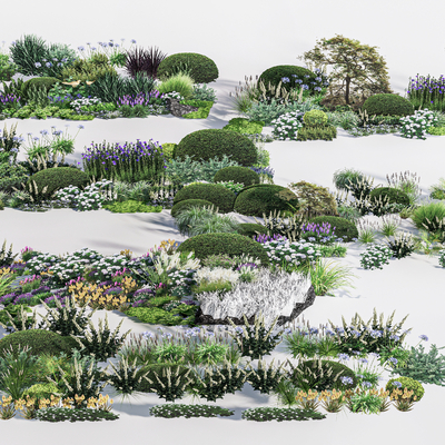  灌木丛 草丛 观赏草su模型 