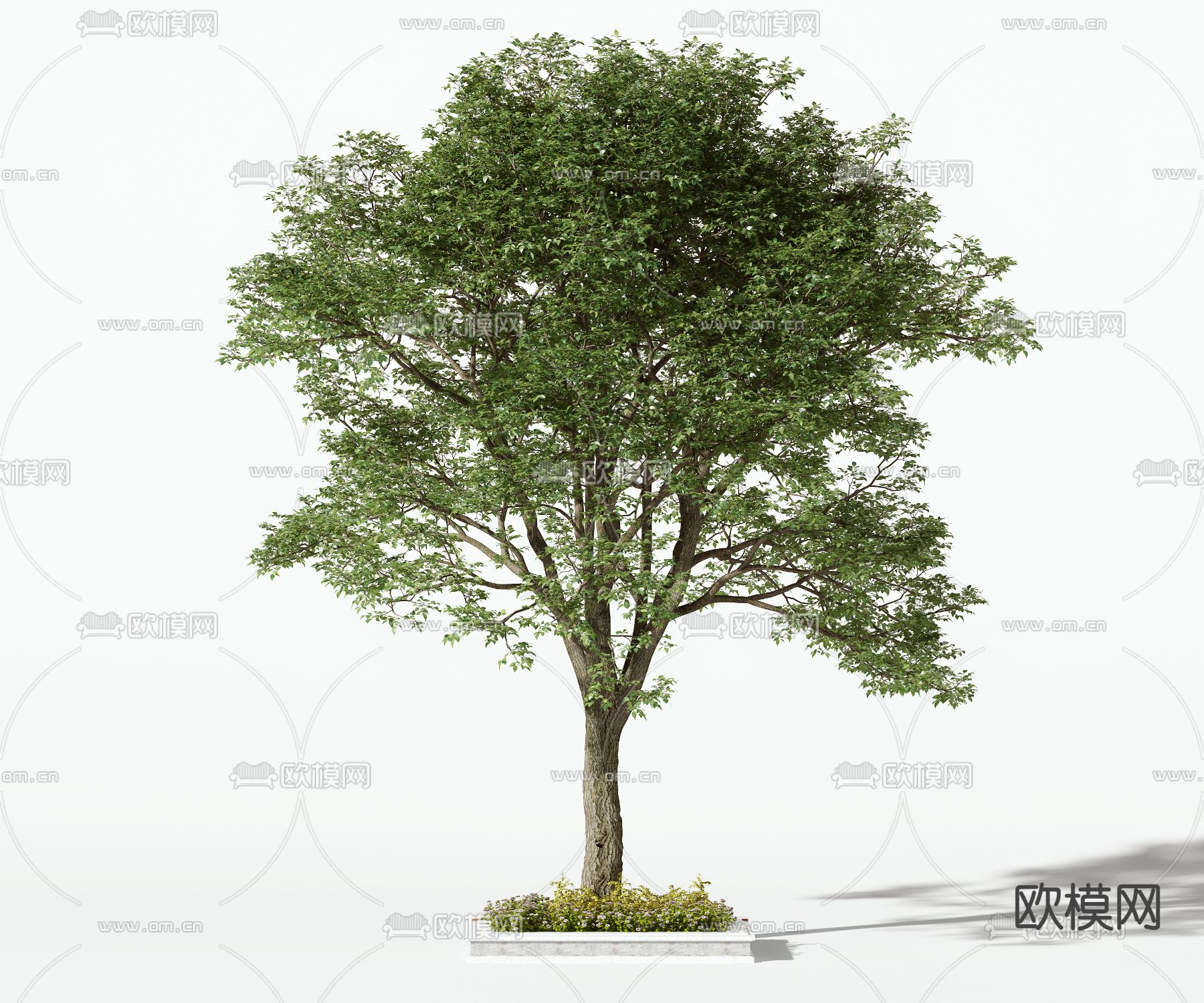 大树 树木 景观树 乔木3d模型下载