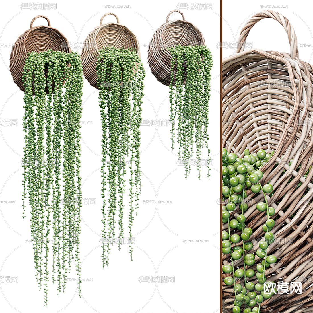 植物盆栽 吊篮su模型下载（渲染图1）