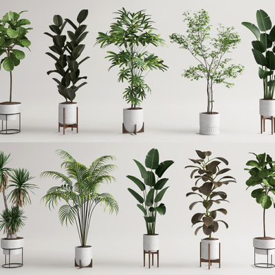 绿植盆栽 盆景su模型