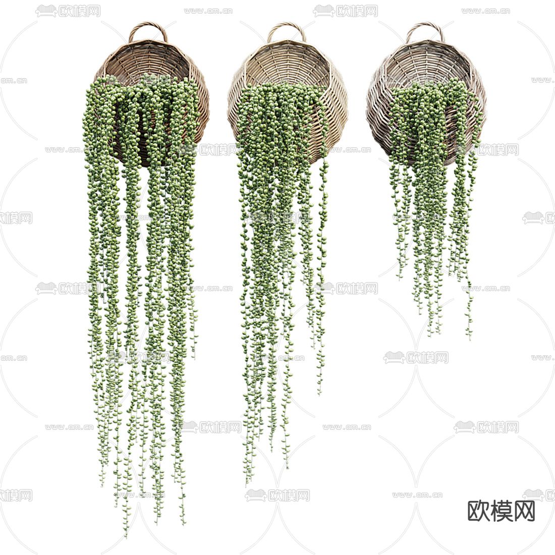 植物盆栽 吊篮su模型下载（渲染图3）