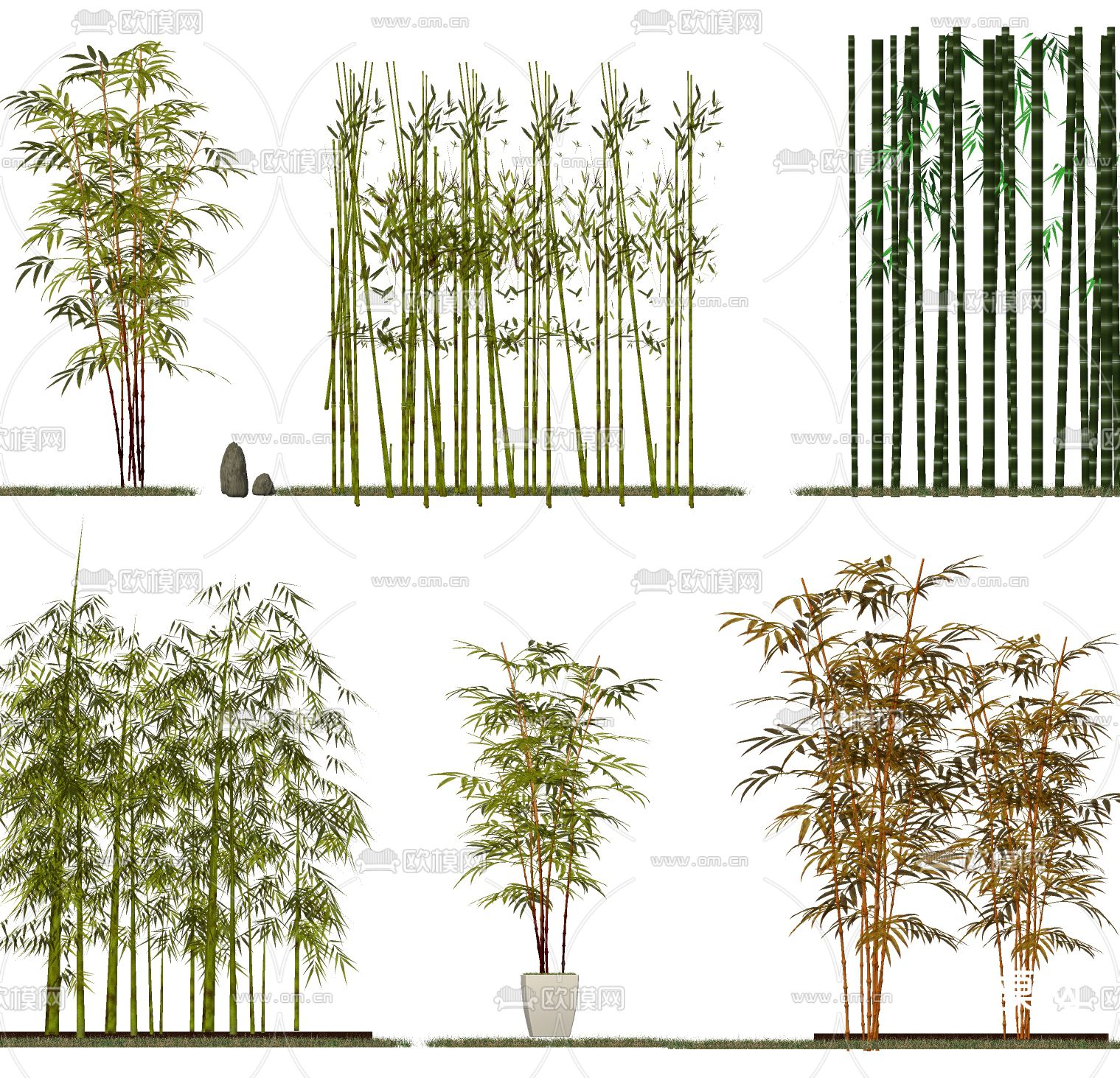 现代竹子su模型下载（渲染图2）