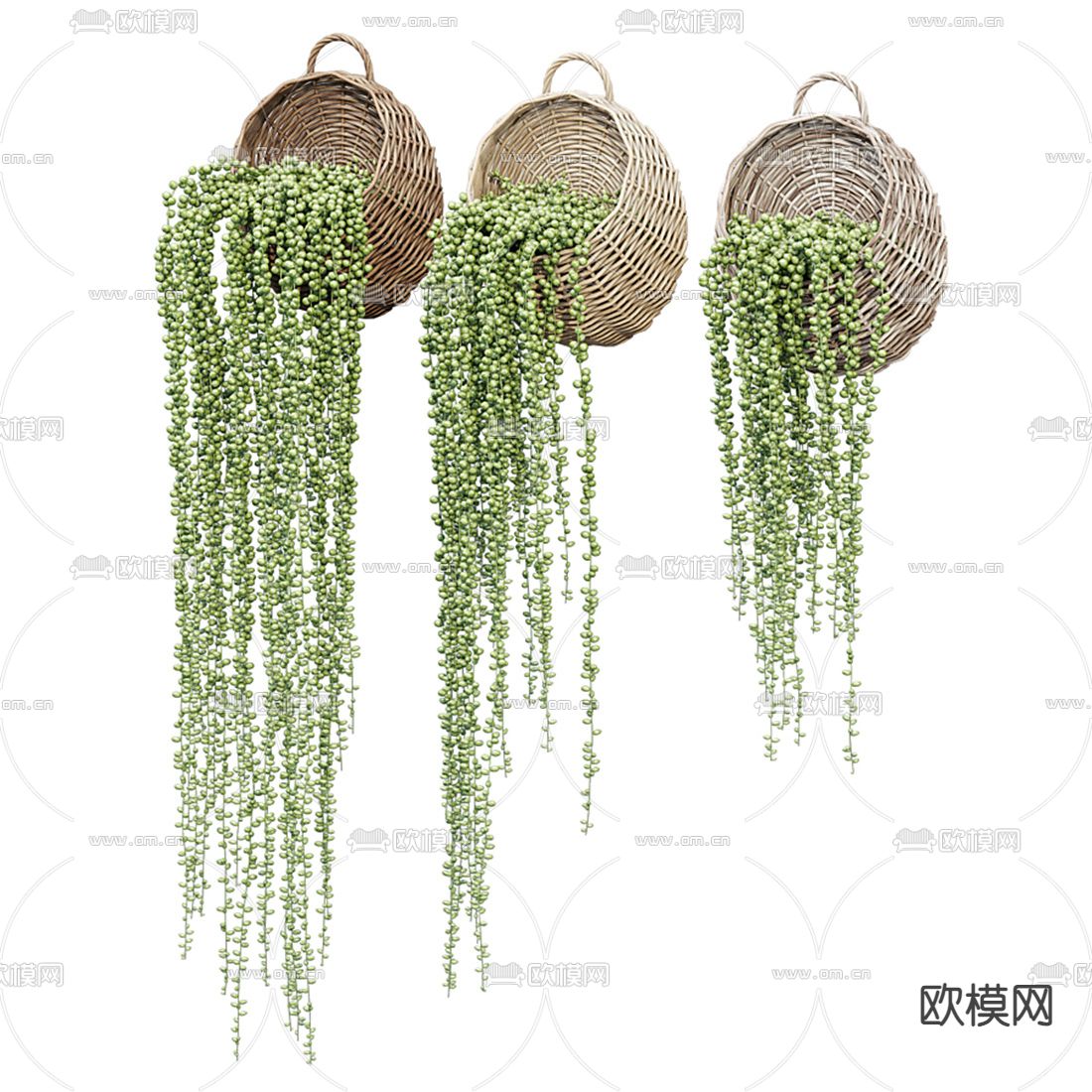 植物盆栽 吊篮su模型下载（渲染图2）