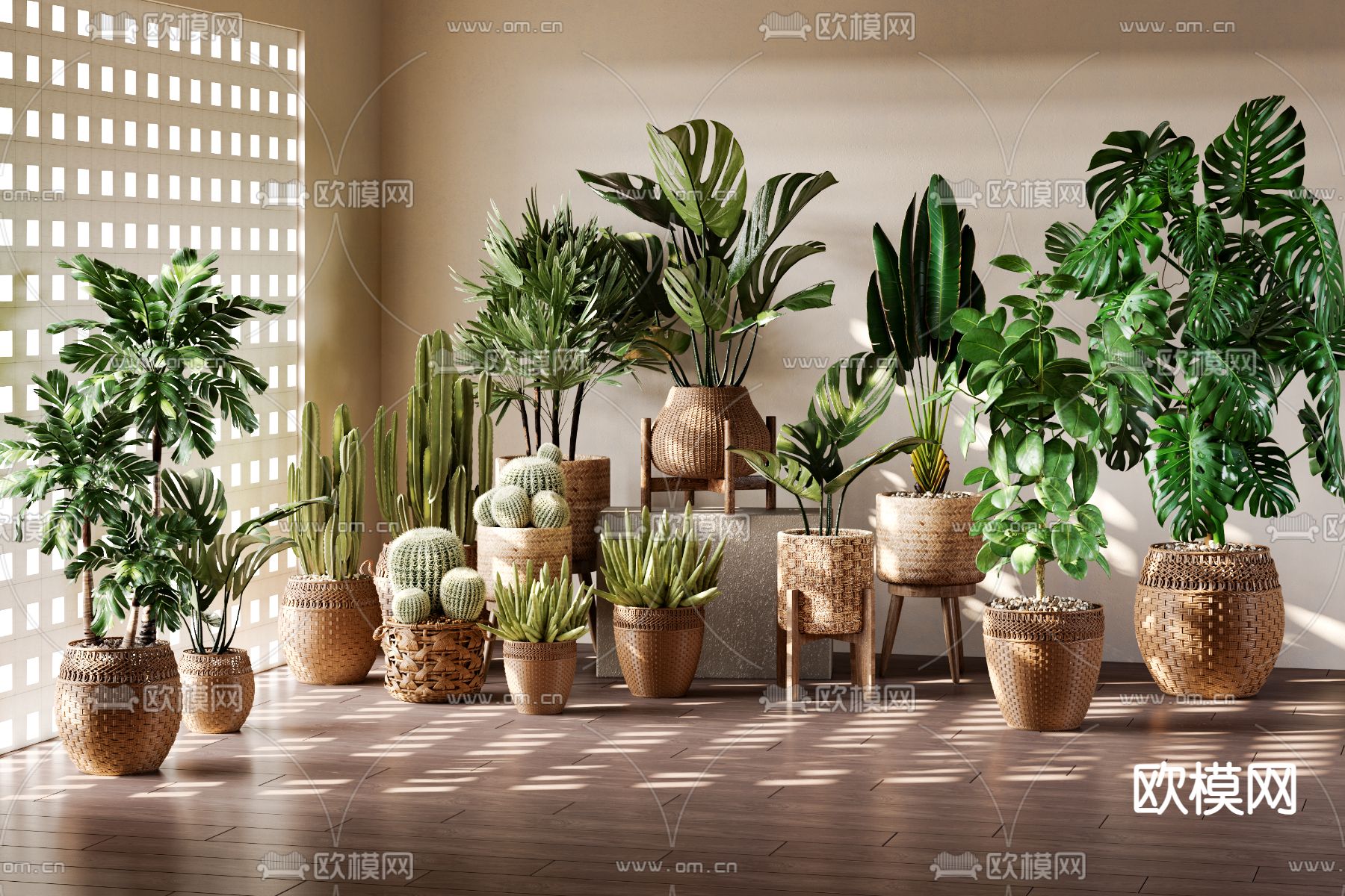 盆栽 盆景 仙人掌 龟背叶 藤编花盆3d模型下载