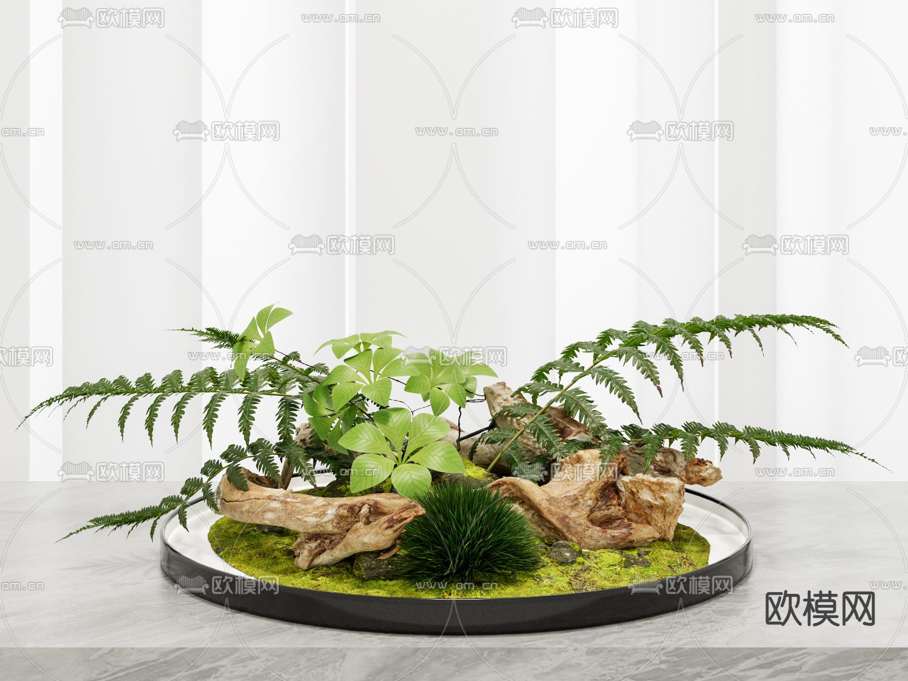 蕨类盆栽 桌面盆景3d模型下载