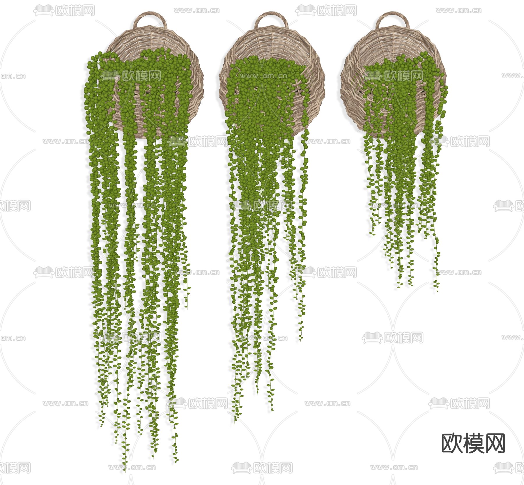植物盆栽 吊篮su模型下载（渲染图4）