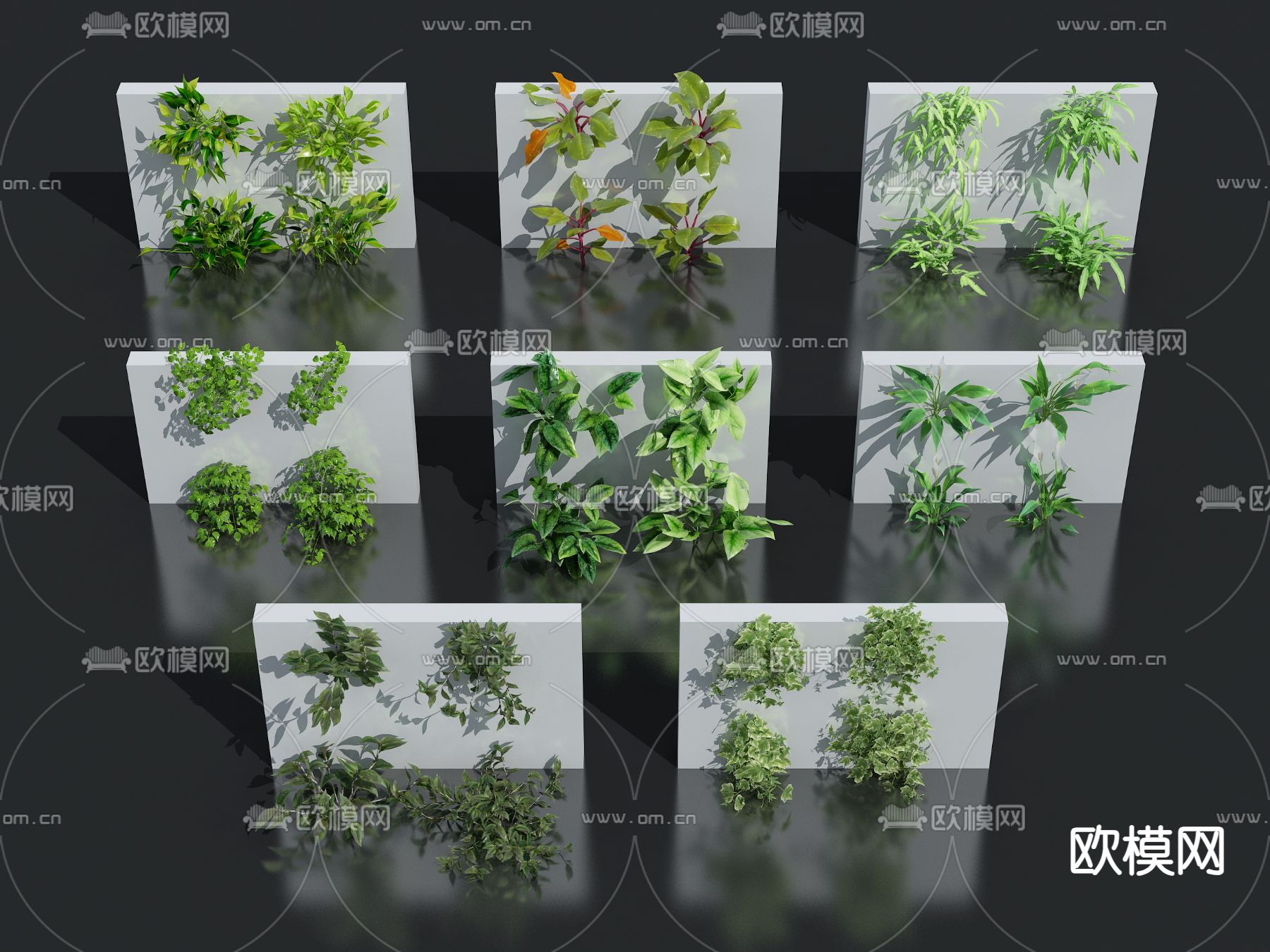 绿植墙su模型下载（渲染图1）