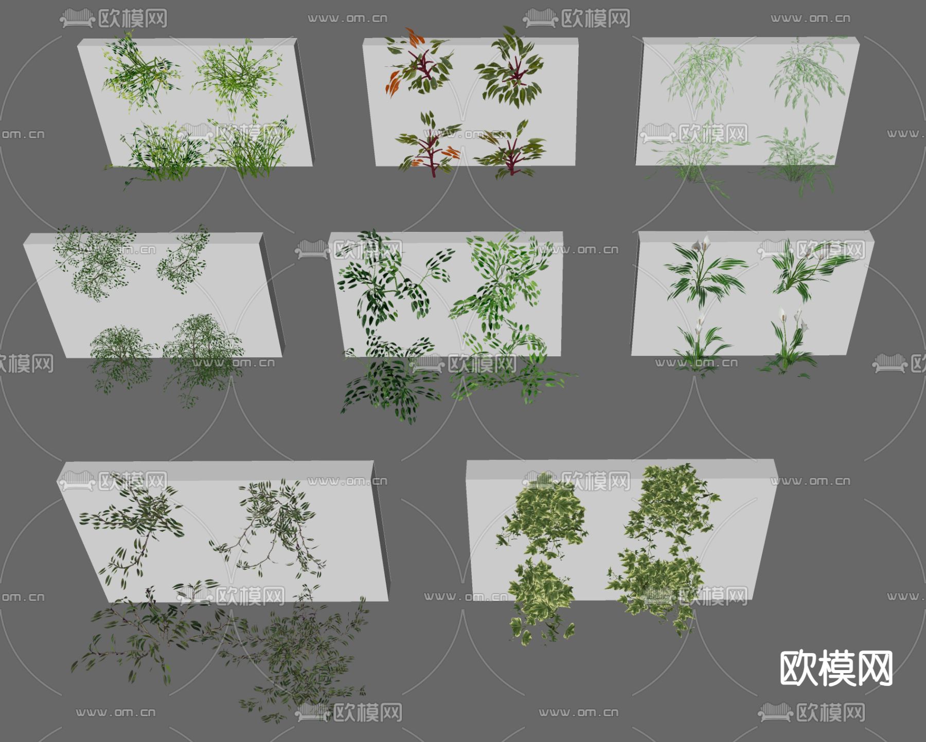 绿植墙su模型下载（渲染图2）