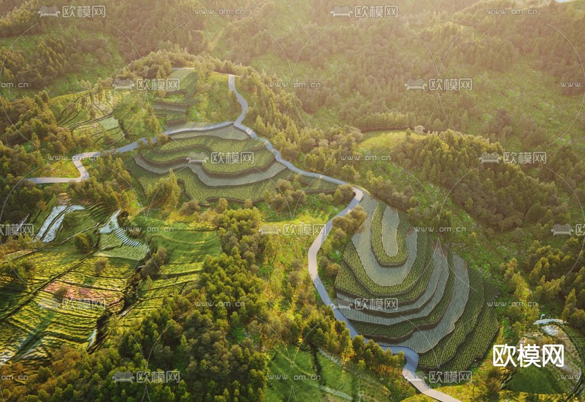 山地景观 梯田鸟瞰3d模型下载