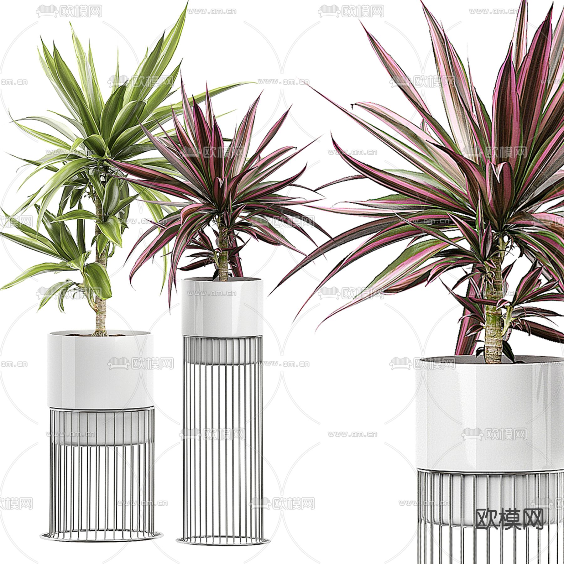 室内花包3d模型下载