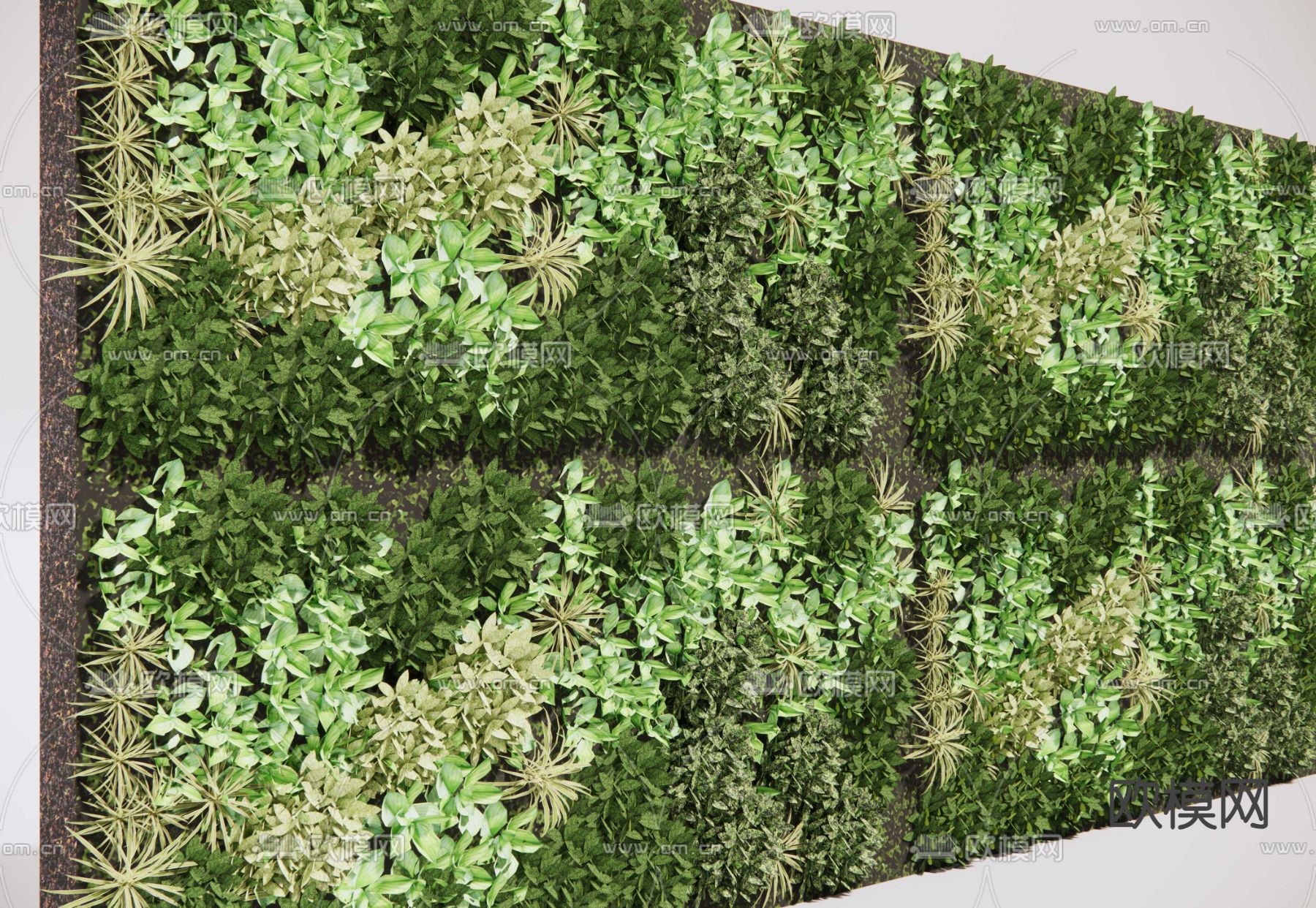 垂直绿化墙su模型下载（渲染图2）