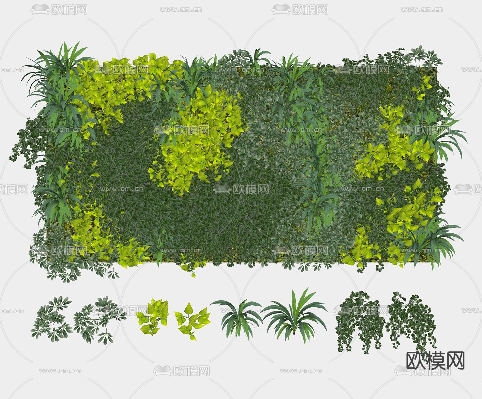 现代绿植墙su模型下载（渲染图2）