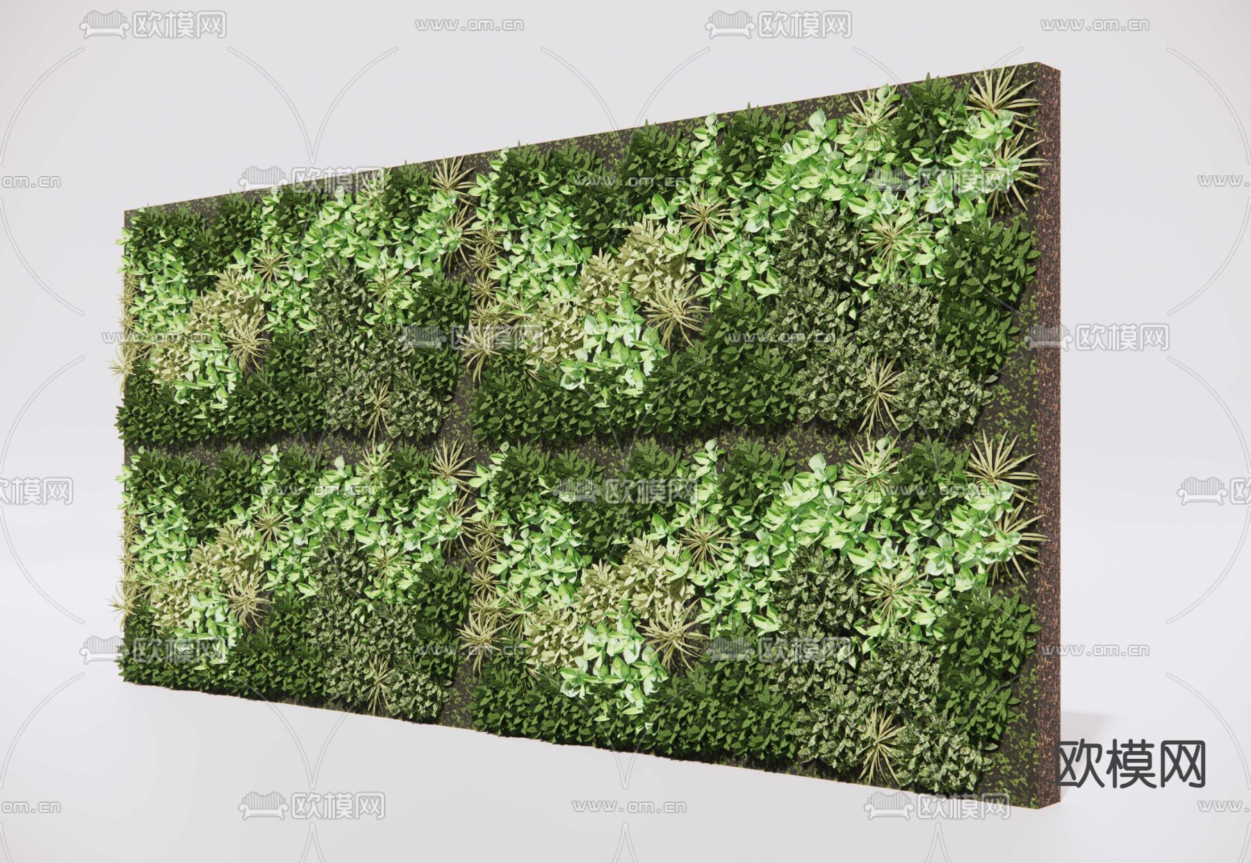 垂直绿化墙su模型下载（渲染图3）