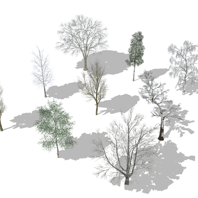  行道树 枯树干 白桦松树su模型 