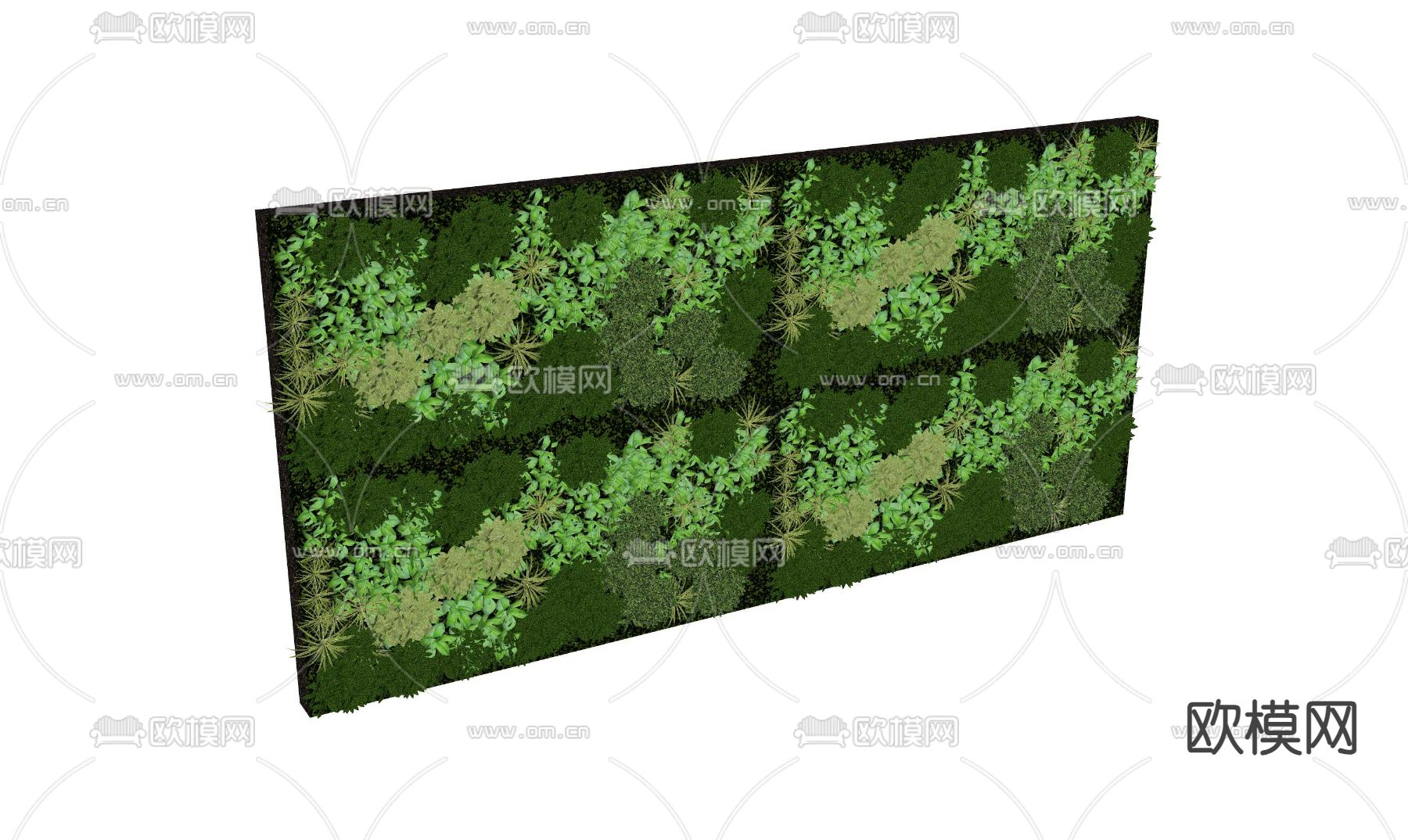 垂直绿化墙su模型下载（渲染图4）
