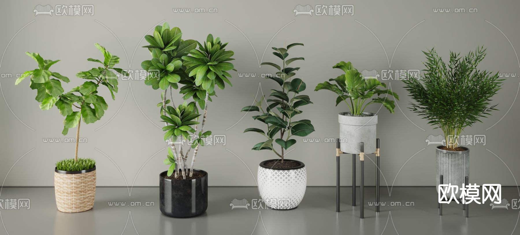 现代盆栽 盆景su模型下载（渲染图1）