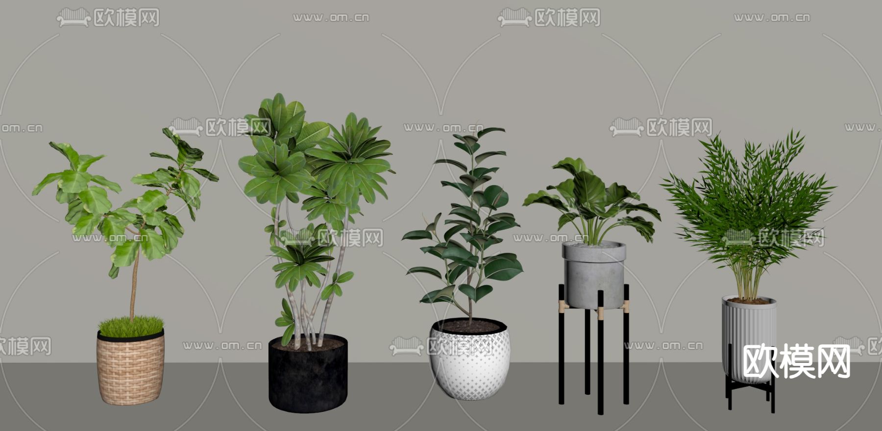 现代盆栽 盆景su模型下载（渲染图2）