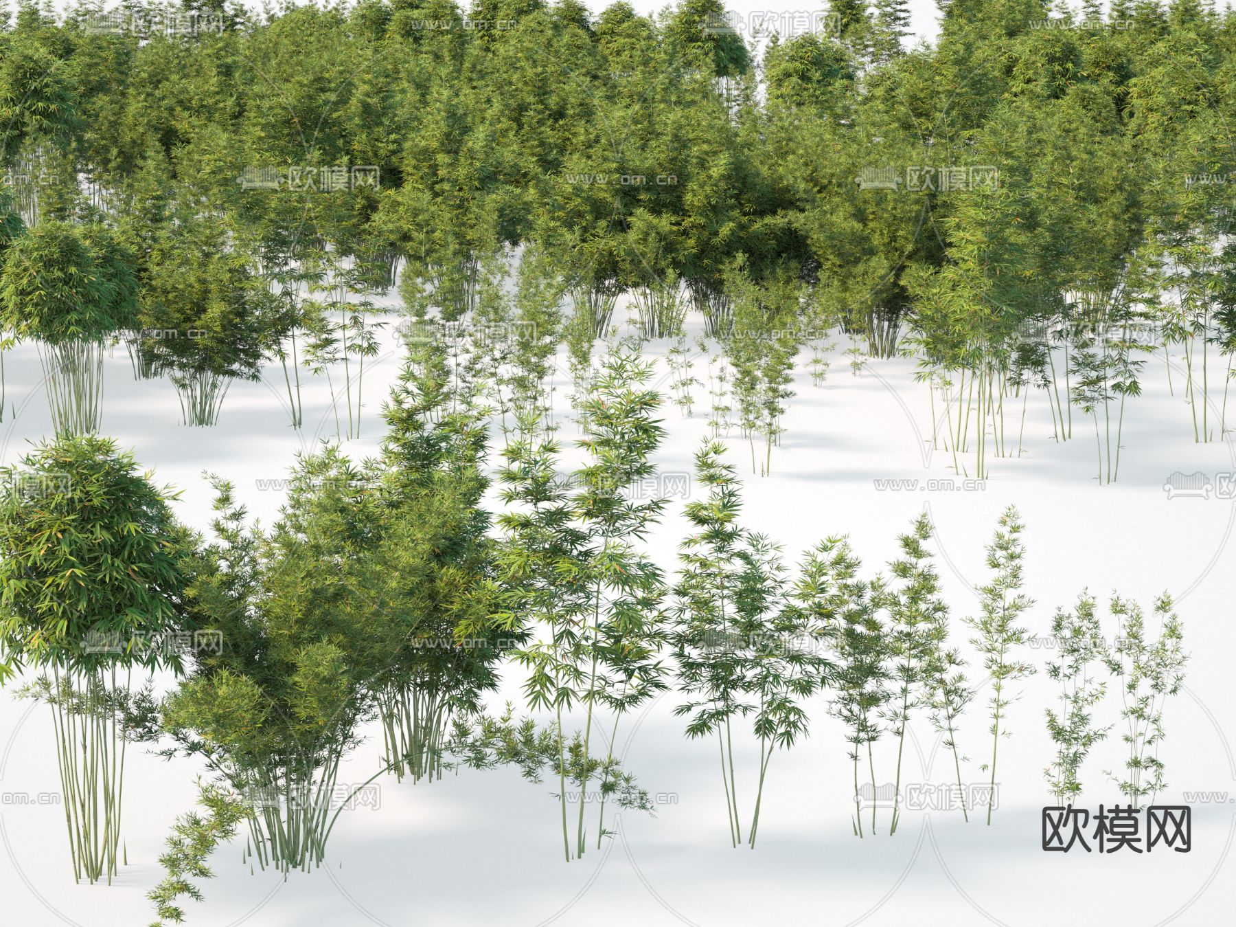 竹子3d模型下载