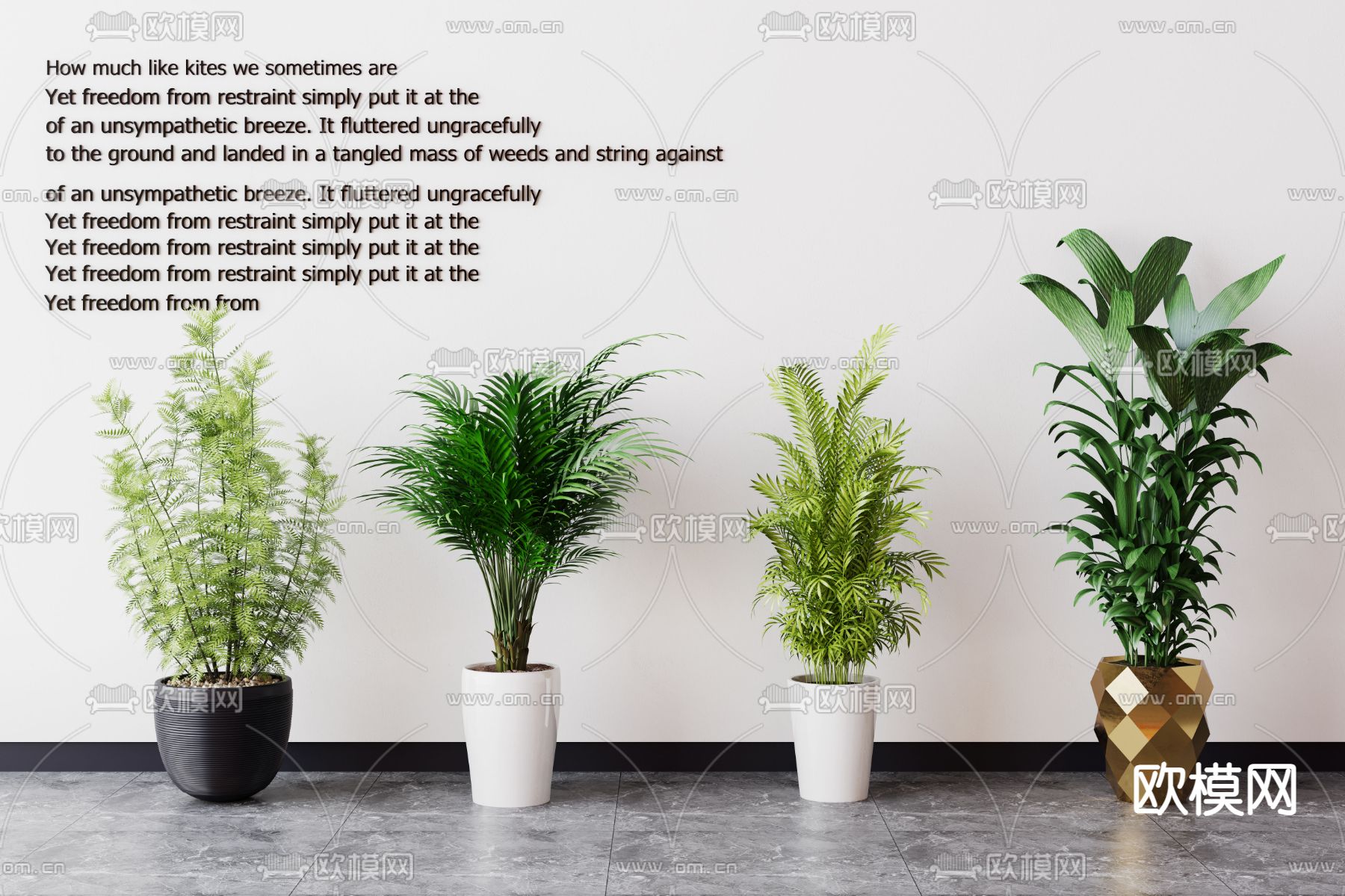 蕨类盆栽 盆景 绿植3d模型下载