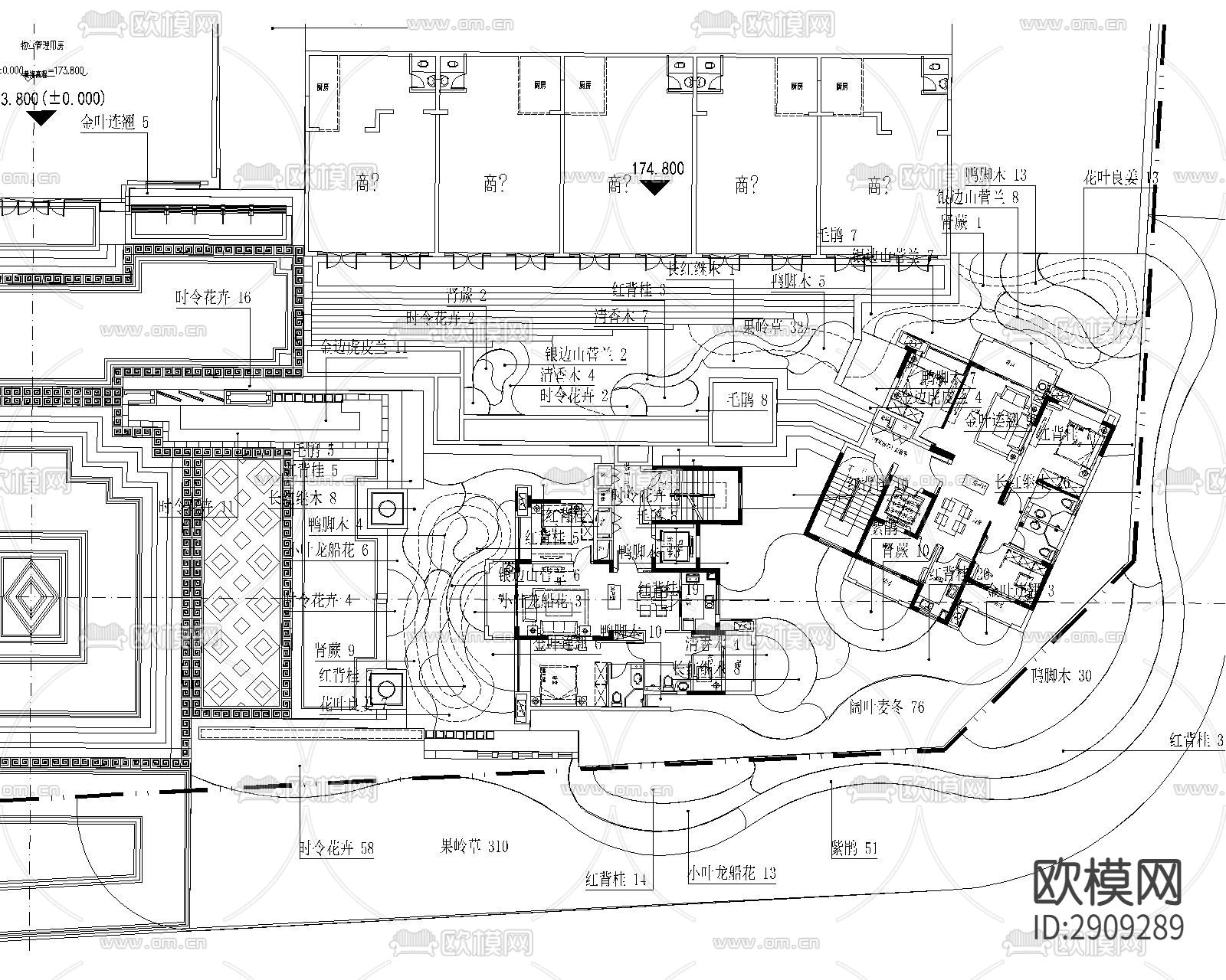 植物组图 植物景观设计下载（渲染图7）