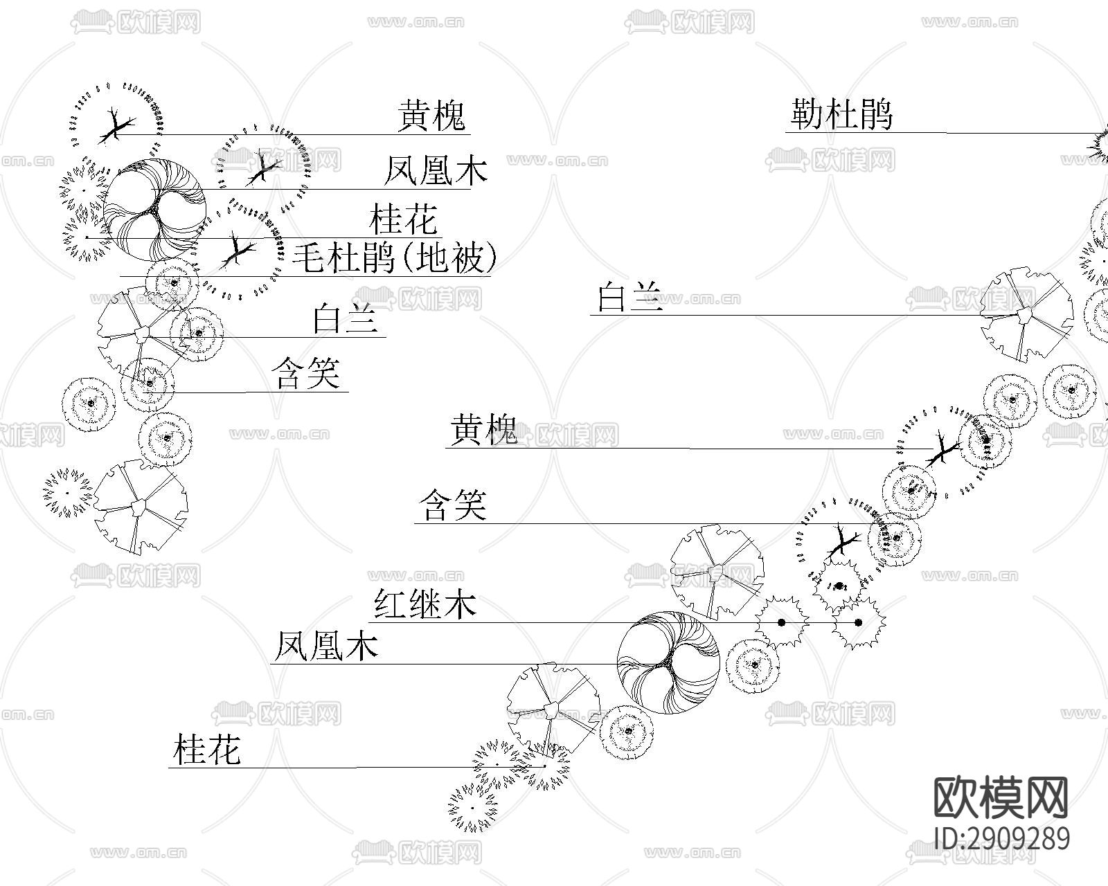 植物组图 植物景观设计下载（渲染图2）